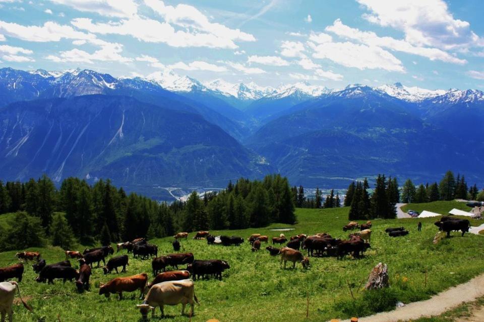 Le Mayen De Colombire Crans-Montana Exterior photo
